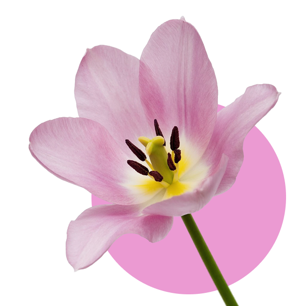 Контактное изображение